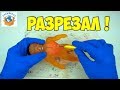 ЖЕСТЬ! РАЗРЕЗАЛ X-RAY фигурку! АНТИСТРЕСС АРМСТРОНГ СТРЕТЧ STRETCH Armstrong VAC MAN | СПЕЦЗАКАЗ