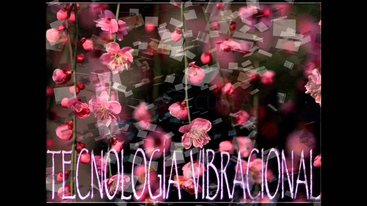 ESCUELA ALQUIMIA TECNOLOGÍA VIBRACIONAL video editing software free