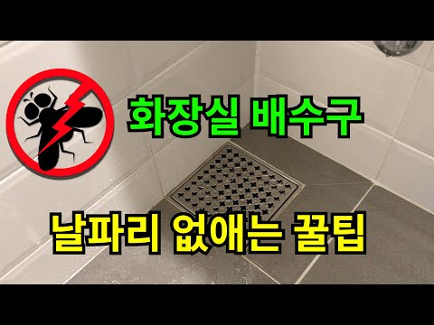 화장실 배수구 날파리 없애는 꿀팁