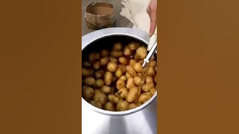 MESIN PENGUPAS KULIT JAHE