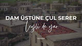 Dam Üstüne Çul Serer - Leyli De Yar - 70S Cover