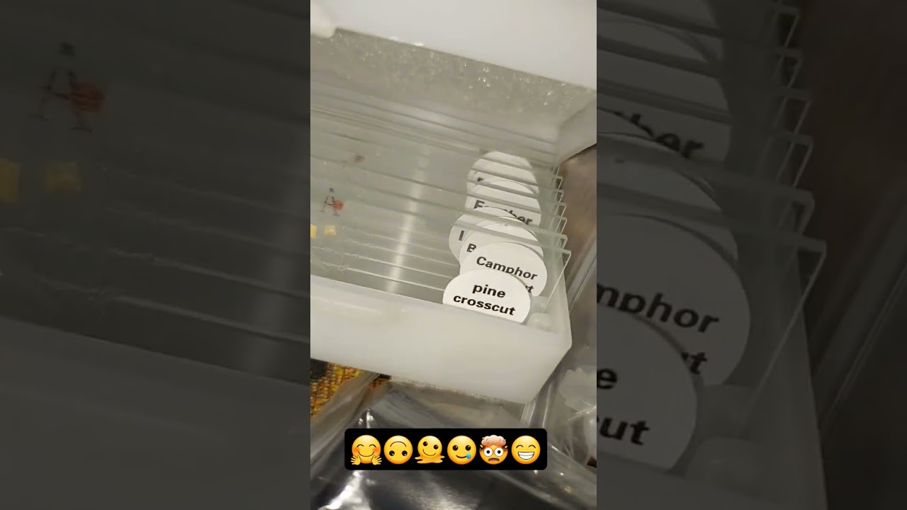 I Finally Have A Microscope: Part 1 series 