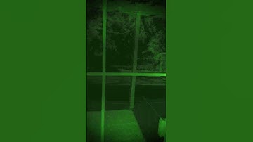 #transition #blackpink #cat #transiction #kpop #cute #edit #tutorial