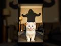 Light Switch Horror 😱#WhiteKitten#Puppy#ShadowPrank#FunnyAnimal