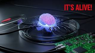 They Built a Computer Using Human Brain Cells