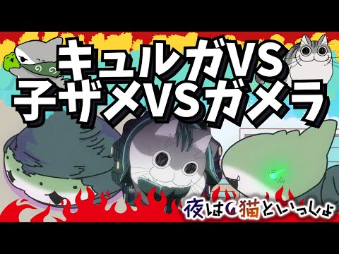 子ザメちゃんVS怪獣＆マンチカンのキュルガ