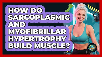 How Do Sarcoplasmic And Myofibrillar Hypertrophy Build Muscle? - High Energy Training Hub