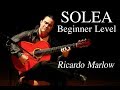 Eliteguitaristcom  solea for beginners flamenco guitar lesson  ricardo marlow 17