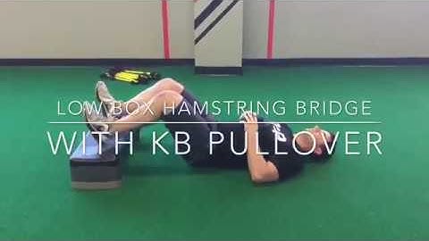 Low Box Hamstring Bridge with KB Pullover - Rehab 2 Perform