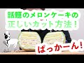 【カトちゃんねる】話題のまるごとメロンケーキを綺麗にカットする方法