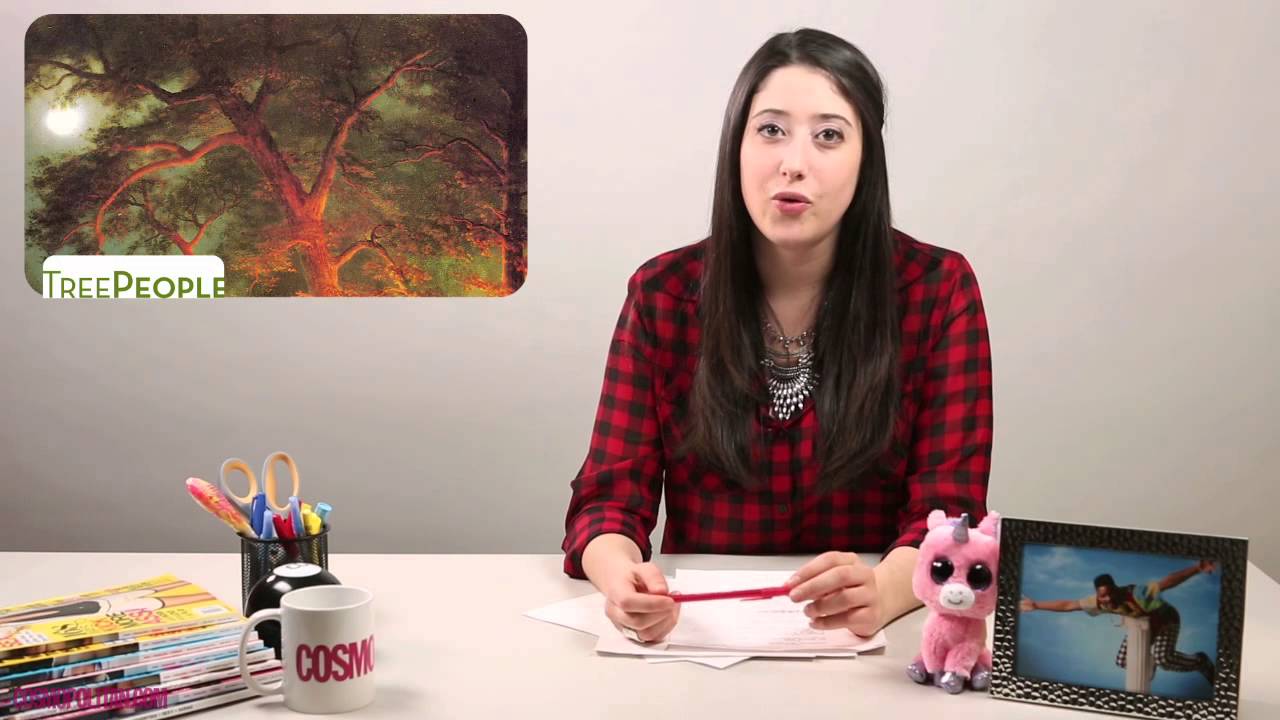 Really, Reality TV? | Catch Up