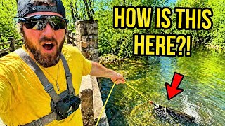 Magnet Fishing 100 Loaded Waterways — I Was Not Ready For This