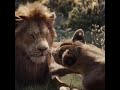 حالات واتس اب ريهانا Whatsapp Status Rihanna Diamonds