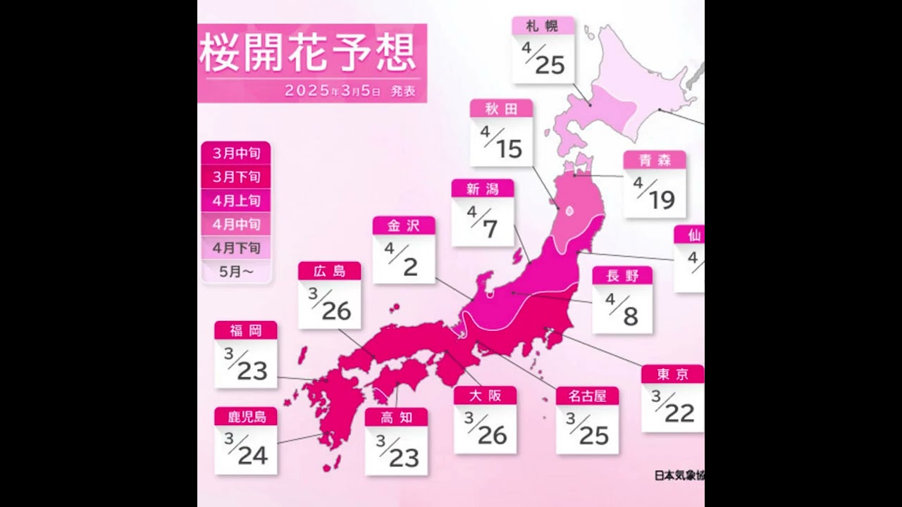 2025年の桜の開花予想 ❀-CHΞRRY BLOSSOM FORΞCΛSŦ