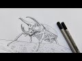 Cara Menggambar Kumbang Atlas | SKETSA PENSIL