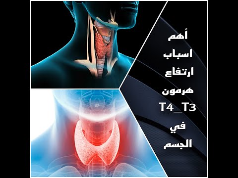 فيديو: ما هي وظيفة ثلاثي يودوثيرونين t3؟