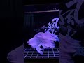 Platinum Butterfly Koi Carp Collection 153 - Platinum Butterfly Koi Fish