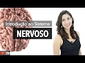 Sistema Nervoso 1/6: Introdução | Anatomia e etc.