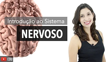 Quem tem sistema nervoso?