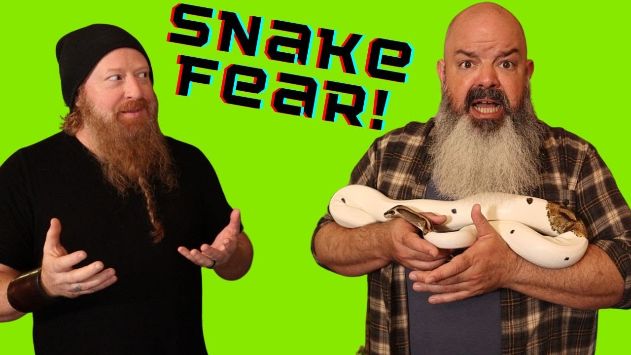 Facing Your Fear of Snakes: with Michael Kopelow