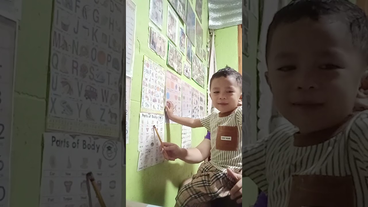 2yrsOld Baby knows how to read animals, numbers, alphabet,colors and shapes.