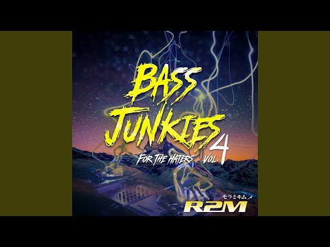 Bass Junkies, Vol. 4 "For The Haters" artwork