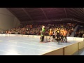 LaSB-Steelers 4.1.2015 Lahden Suurhalli