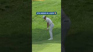 Michael Brennan with the longest birdie run of the season 🔥😤
