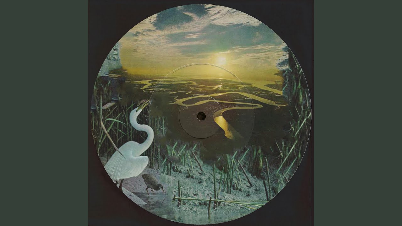 Regardez Doesn't Really Matter Honestly sur YouTube Regardez Doesn't Really Matter Honestly sur YouTube