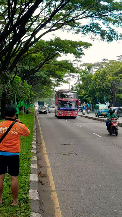 HUNTING BUS 🙋👍🙏😁 #busmania #buspariwisata #basuri #busakap