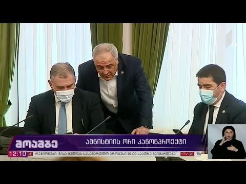ამნისტიის ორი კანონპროექტი