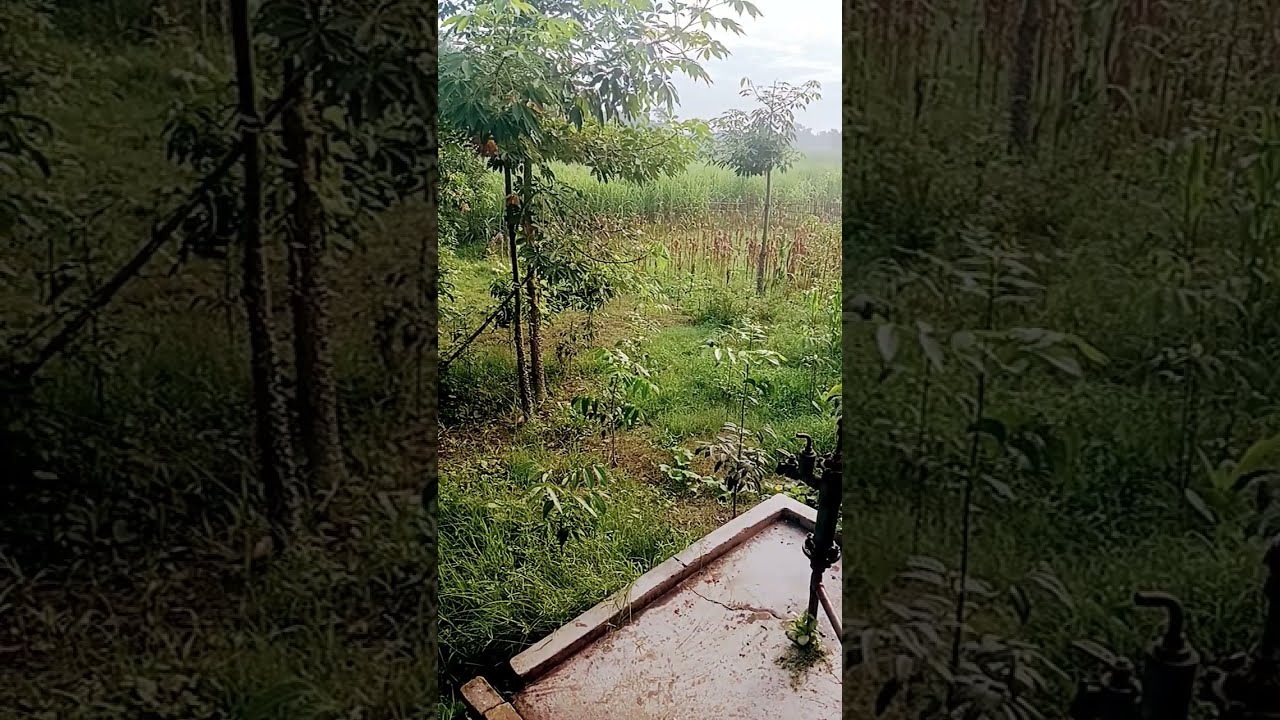  Lage Mijaj Aj Sahi Nhi Hai Mahe Lu Matta E Ta Dahi Nahi Pani Me Chinni Jaise Ghole Raja Jee