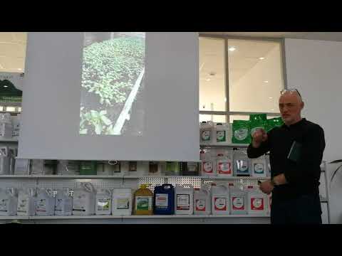 Презентация препаратов ВИГОР