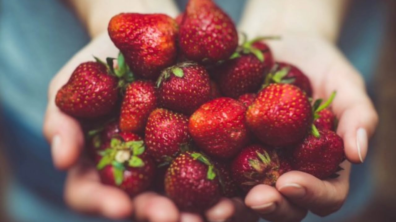 ТОП 4 моїх самих живучих сортів полуниці