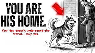 Why Your DOG Runs When YOU Get Home — This Explains Everything