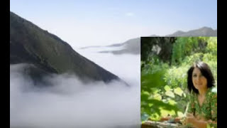 😭Kirazın Ağıdı Derleme Yorum Bahar G Alkaya🥺😪Tipide Kaybolan Ananın.ağıdı Youtube Abone Ol Paylş