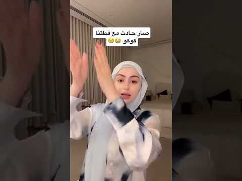 صار حادث مع قطتنى كوكو شهد سيامند