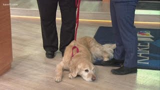 MNbased Can Do Canines train dogs for people with disabilities
