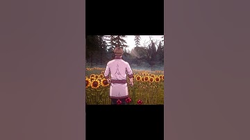 Black Raven | #indiegame #gamedev #pixelart #pixelgame #darkfantasy #indiedev