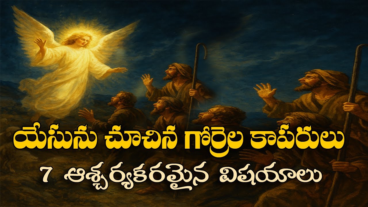 7 Mind-Blowing Facts About Shepherds Who Met Jesus