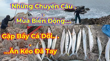 Chuyến Câu Mùa Biển Động.Cái Kết Gặp Cá Dõi Ăn Bầy .Kéo Mõi Tay .tại Thương Diêm .Ninh Thuận