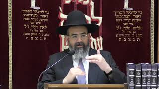 הרב אברהם ישראל פרשת לך לך