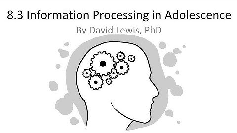 8.3 Information Processing in Adolescence