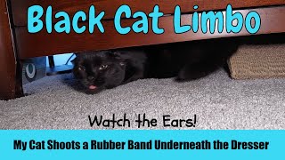 My Cat Shoots a Rubber Band Underneath the Dresser by Serena the kAt 105 views 2 months ago 2 minutes, 15 seconds