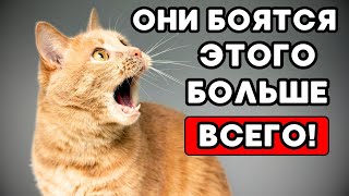 : 7 ,           ?
