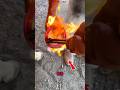 How Can a Horse Touch RED-HOT Metal Without Pain? 😱 #shorts