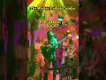 Knödelclub, ihr seid der Hammer !!!#reggae #musikkneipe #perleberg #songwriting