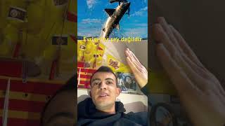 Megodolonlat hâlâ yaşıyor mu? #evrimağacı #evrim #mega (megadolonlat köpek balığı)