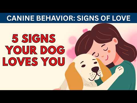 Canine Behavior: Signs