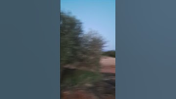 #سورة_التكوير_بصوت_الشيخ_عبد_الباسط_عبد_الصمد_الله_يرحمه #travel #allah #beautiful #تيك_توك #بركان